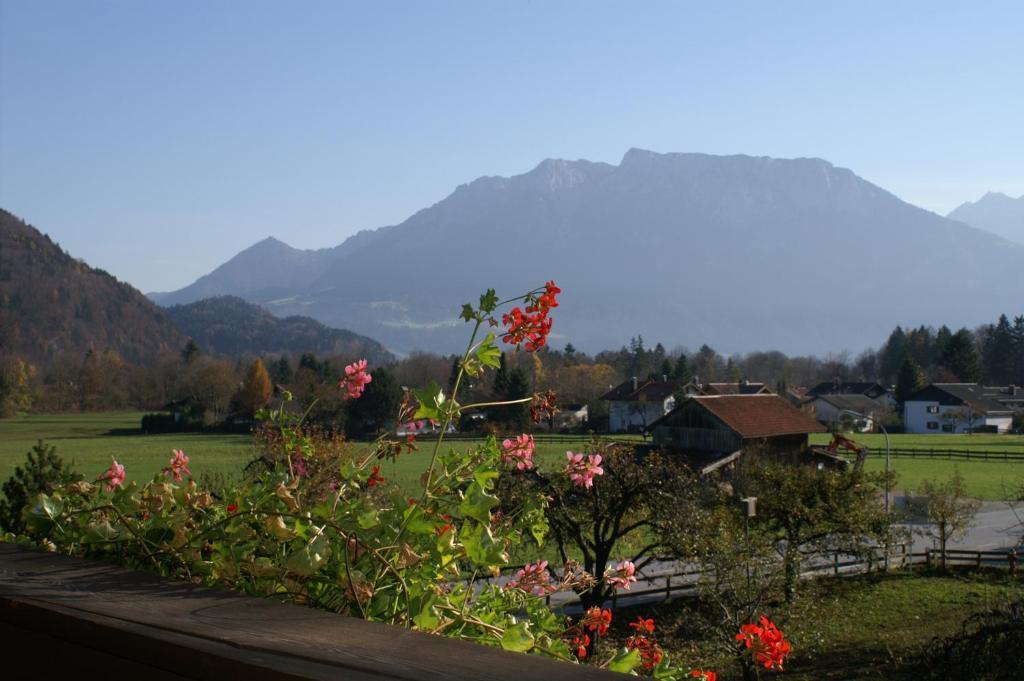 Alpenhof Landhotel Restaurant Oberaudorf Quarto foto